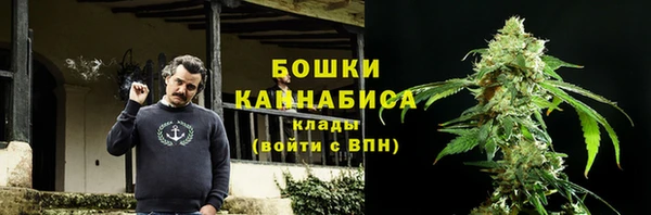 PSILOCYBIN Баксан