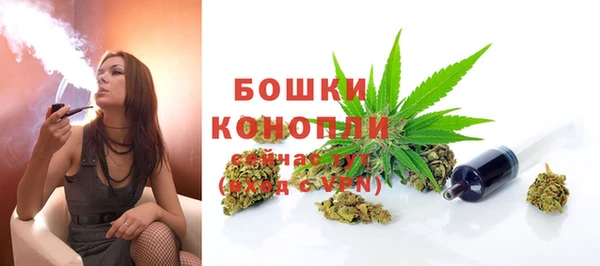PSILOCYBIN Баксан