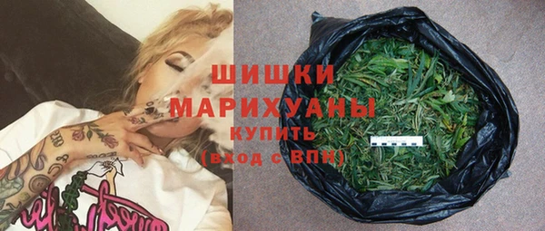 PSILOCYBIN Баксан