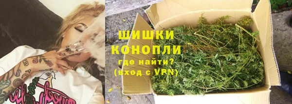 PSILOCYBIN Баксан