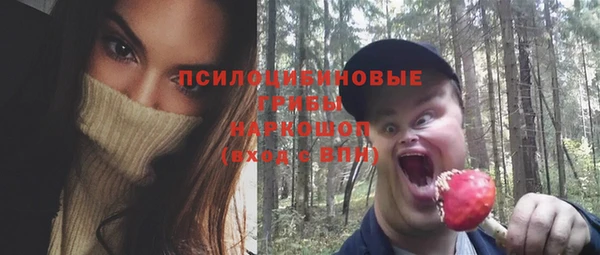PSILOCYBIN Баксан