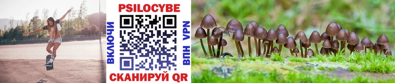 Псилоцибиновые грибы Cubensis  мориарти клад  Черняховск  наркотики 